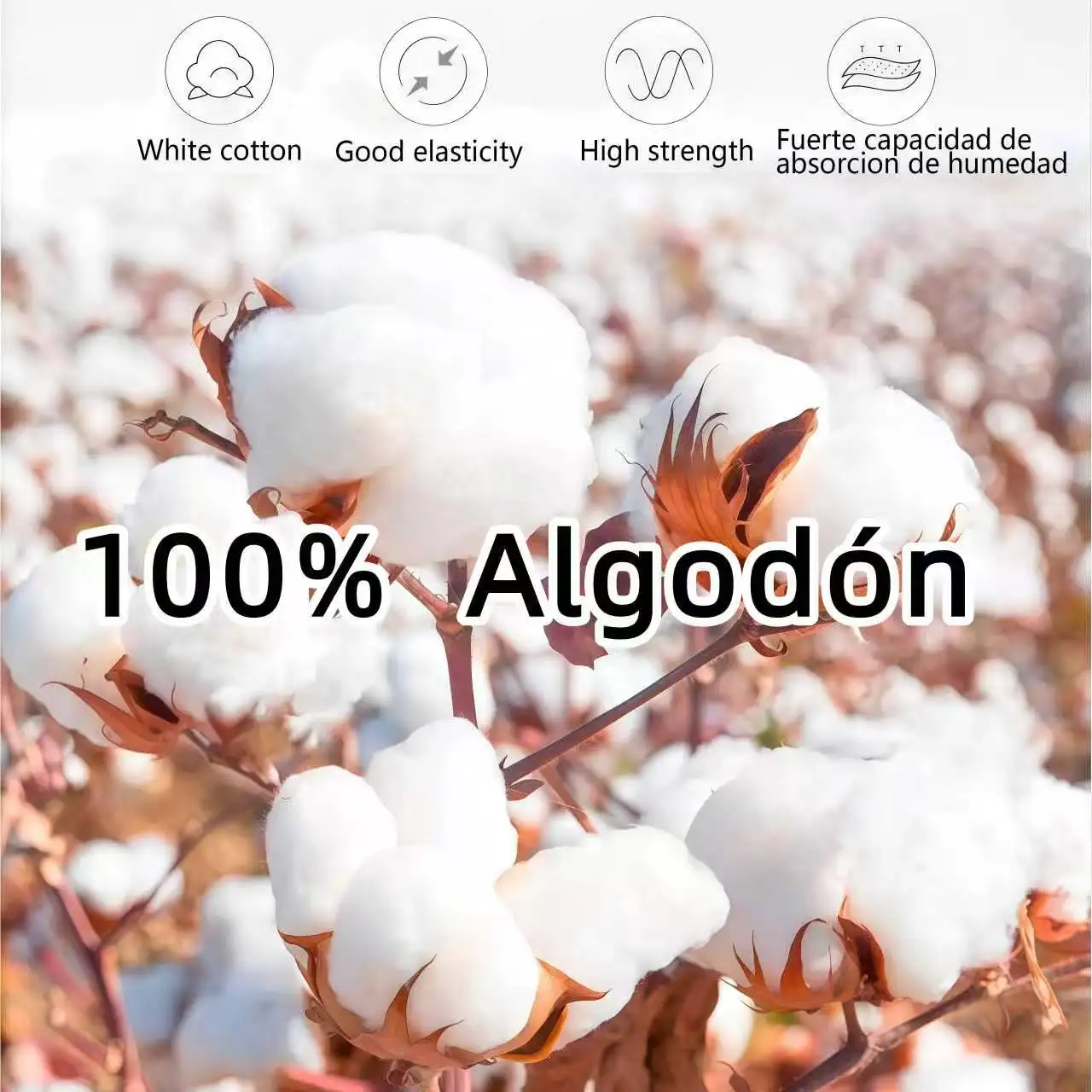 Kalın Pamuklu Mezuniyet Tişört - Embroidery Cotton Shirt incelemesi ve fiyatı